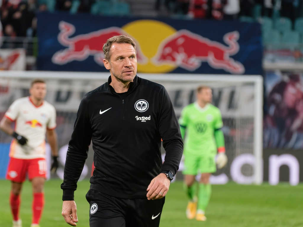 强地立足于 强地立足于