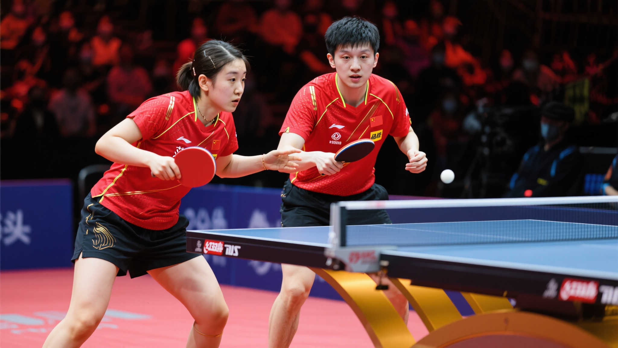 球迷和媒体 球迷和媒体