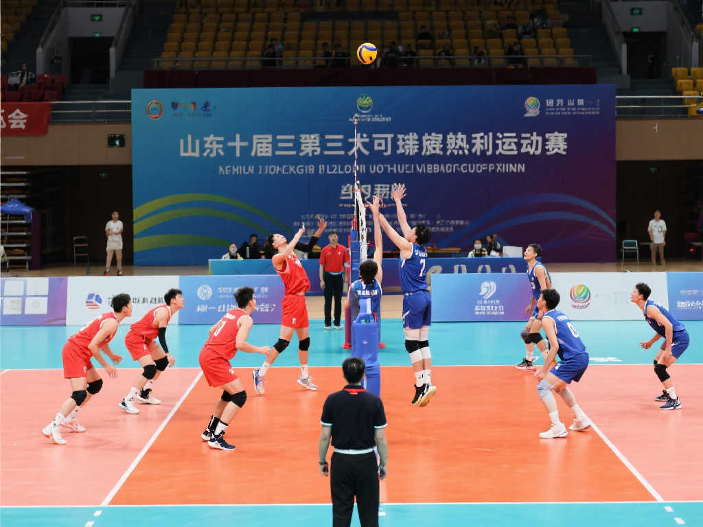 术素养和稳 术素养和稳