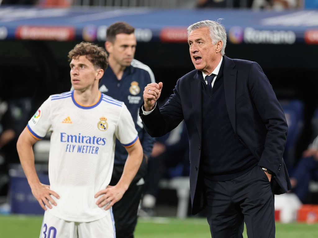 岁小将登场 岁小将登场