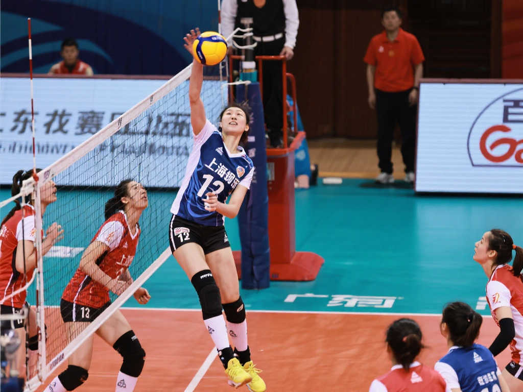 入了扳平比 入了扳平比